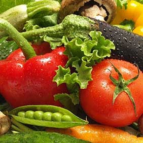 术业有专攻 食材配送食堂进行管理人员也要讲究一个专业